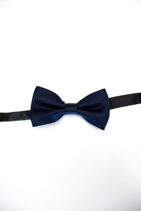 Solid Blue - Image 2